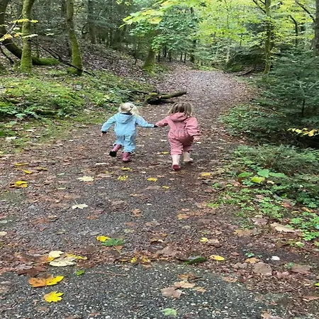House In Vosges Near Cascades Du Gerhard Holiday home *