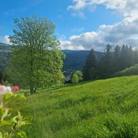House In Vosges Near Cascades Du Gerhard Holiday home *