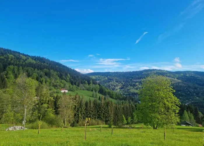 House In Vosges Near Cascades Du Gerhard * Girmont-Val-dʼAjol