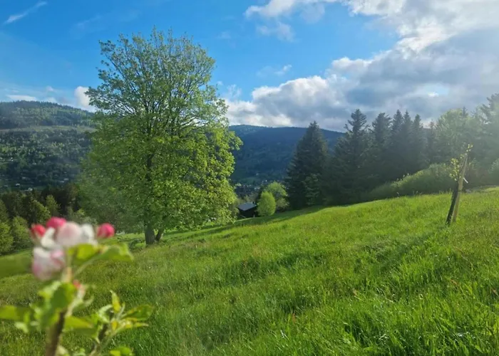 House In Vosges Near Cascades Du Gerhard Feriehus *
