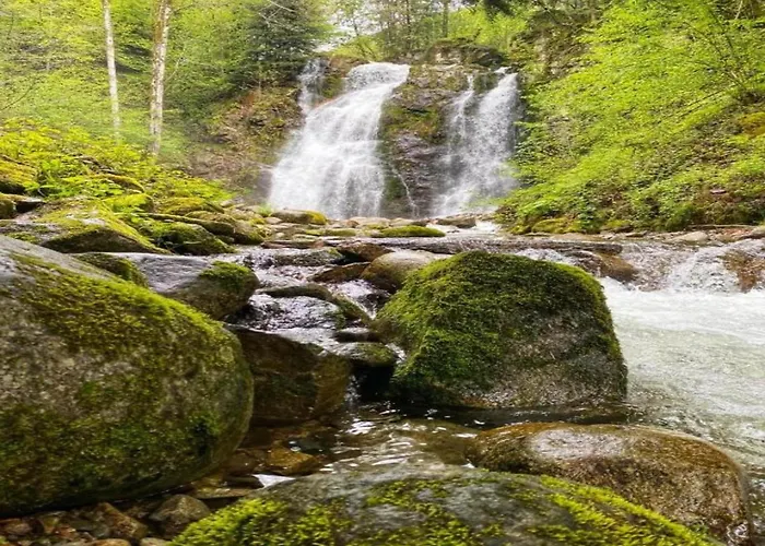 House In Vosges Near Cascades Du Gerhard *